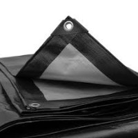 Tarp